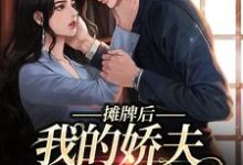摊牌后，我的娇夫变小弟完结版南烟傅靳司免费阅读大结局-逐鹿文学