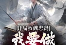 主角是朱由检的小说开局救魏忠贤,我要做宫斗冠军在哪免费看-逐鹿文学