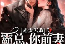 求助这本婚内越轨！我高嫁京圈前夫急疯了小说在哪里可以看完结版-逐鹿文学