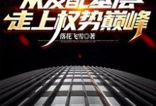 杨飞方婷最新章节官梯:从发配基层走上权势巅峰免费阅读-逐鹿文学