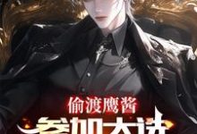 偷渡鹰酱，参加大选不过分吧？无弹窗赵峰最新章节列表-逐鹿文学