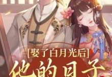娶了白月光后，他的日子鸡飞狗跳大结局，盛栖月萧玉衡小说无广告阅读-逐鹿文学