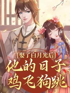 娶了白月光后，他的日子鸡飞狗跳大结局，盛栖月萧玉衡小说无广告阅读