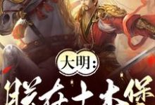 主人公是朱祁镇的小说大明:朕在土木堡杀疯了免费阅读-逐鹿文学