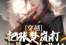 穿越：把张楚岚打造成无敌战神大结局，方云小说无广告阅读-逐鹿文学