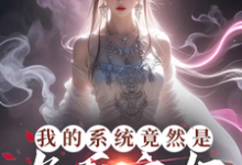 主角是叶沐枫的小说我的系统竟然是九天玄女在哪免费看-逐鹿文学