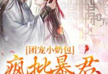 精彩章节阅读团宠小奶包，疯批暴君沉迷养崽(萧璟月萧永乾)免费小说在线看-逐鹿文学