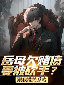 岳母欠赌债要被砍手？跟我没关系哈（林凡）完结版免费阅读