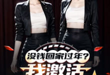 小说没钱回家过年？我激活0元购系统（陈东林雨桐）最新章节在哪看-逐鹿文学