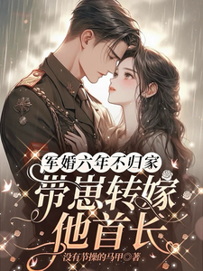 主角是乔安周昀川的小说军婚六年不归家，带崽转嫁他首长在哪免费看