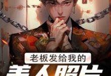 老板发给我的美人照片是老板娘(林江宇)最新章节免费在线阅读-逐鹿文学