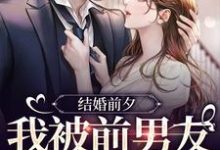 结婚前夕,我被前男友带走了在线看,薄寒深曲南枝小说大结局在哪免费看-逐鹿文学
