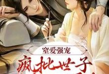 主角是谢蕴谢清曦的小说窒爱强宠：疯批世子囚我入罗账在哪免费看-逐鹿文学
