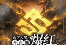 虞初见孟白首在线阅读，玄学大佬开直播，爆红阴阳两界小说完结版章节-逐鹿文学