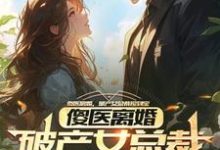 杨路年兮兮小说的结局在哪可以看,傻医离婚,破产女总裁捡到宝免费阅读完结版-逐鹿文学