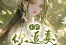 夏溪苏礼最新章节列表主神，你追妻又失败了？免费阅读-逐鹿文学
