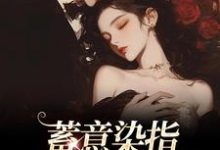 蓄意染指：大佬病态缠欢免费阅读，沈行川桑妩大结局无弹窗-逐鹿文学