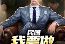 民国：我要做乱世枭雄无弹窗林江宇最新章节列表-逐鹿文学