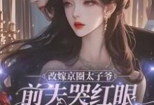 改嫁京圈太子爷，前夫哭红眼求我别嫁（林江宇）最新章节免费在线阅读-逐鹿文学
