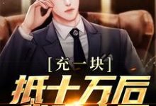 充一块抵十万后，我赢麻了大结局，沐青阳陈琪雯小说无广告阅读-逐鹿文学