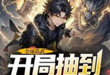 全球高武，开局抽到荒古圣体完结版许天免费阅读大结局-逐鹿文学