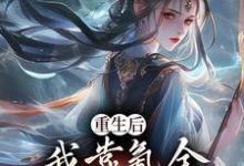 重生后，我靠氪金云养未来女帝免费阅读(沈云)小说免费读最新章节-逐鹿文学