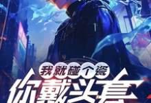 我就碰个瓷,你戴头套什么意思?免费阅读,陆泽赵勇大结局无弹窗-逐鹿文学