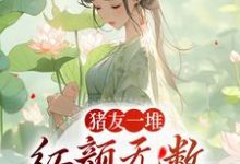 猪友一堆,红颜无数,这叫年少有为热门小说(裴双郑子林)在线阅读无弹窗-逐鹿文学