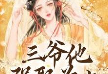 三爷他强娶为上（林知意）完结版免费阅读-逐鹿文学