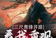 主人公是叶凌天武明月的小说三尺青锋开路,看我重现家族荣耀免费阅读-逐鹿文学