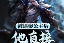 被逼娶公主后，他直接坐了皇位免费阅读(王修苏晚晴)小说免费读最新章节-逐鹿文学