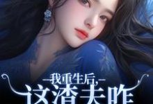 精彩章节阅读我重生后，这渣夫咋还换人格了(林菀宁)免费小说在线看-逐鹿文学