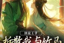 匪徒王爷拆散我与竹马，逼我嫁他！无弹窗楼晚棠裴肆瑾最新章节列表-逐鹿文学