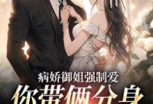 病娇御姐强制爱，你带俩分身过分了热门小说(江辞)在线阅读无弹窗-逐鹿文学