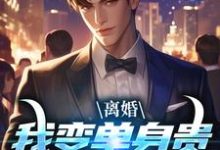 离婚：我变单身贵族强势追爱（江辰夏云荷）完结版免费阅读-逐鹿文学