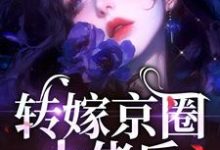 转嫁京圈大佬后,前任悔不当初无弹窗苏婉禾司北琛最新章节列表-逐鹿文学