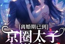 沈青瓷席星野在线阅读,离婚期已到!京圈太子卑微求爱小说完结版章节-逐鹿文学