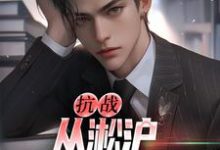 抗战：从淞沪保卫战开始（叶青山）最新章节在线阅读-逐鹿文学