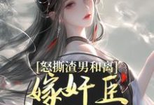 怒撕渣男和离，嫁奸臣高攀不起无弹窗沈蕴之宋窈窈最新章节列表-逐鹿文学