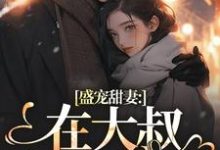 盛宠甜妻：在大叔怀里沦陷（安姩盛怀安）完结版免费阅读-逐鹿文学