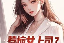 小说惹恼女上司?我有妙计摆平(张文定)最新章节在哪看-逐鹿文学