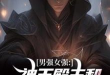 男强女强：神王殿主和女特工闪婚了完结版林晨叶寒霜免费阅读大结局-逐鹿文学