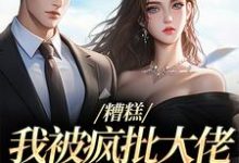 跪求主角是莫妗笙凌寅燊的小说书名叫什么-逐鹿文学