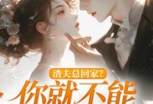 渣夫总回家？你就不能找找新欢小说最新章节在哪里可以免费看-逐鹿文学