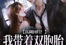 高调回归！我带着双胞胎虐他来了完结版慕楚渊初香雪免费阅读大结局-逐鹿文学