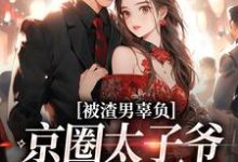 求助这本被渣男辜负，京圈太子爷化身治愈系小说在哪里可以看完结版-逐鹿文学