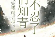 小说利用完我就丢掉？俏知青她不忍了（许语嫣叶修远）最新章节在哪看-逐鹿文学