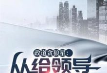 政道贪狼星：从给领导平反开始大结局，陈诚楚瑜清小说无广告阅读-逐鹿文学