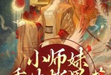 小师妹重生撕黑莲，炸翻宗门无弹窗凤锦许墨最新章节列表-逐鹿文学