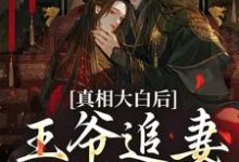真相大白后，王爷追妻火葬场了（萧锦笙鸿枫）最新章节在线阅读-逐鹿文学